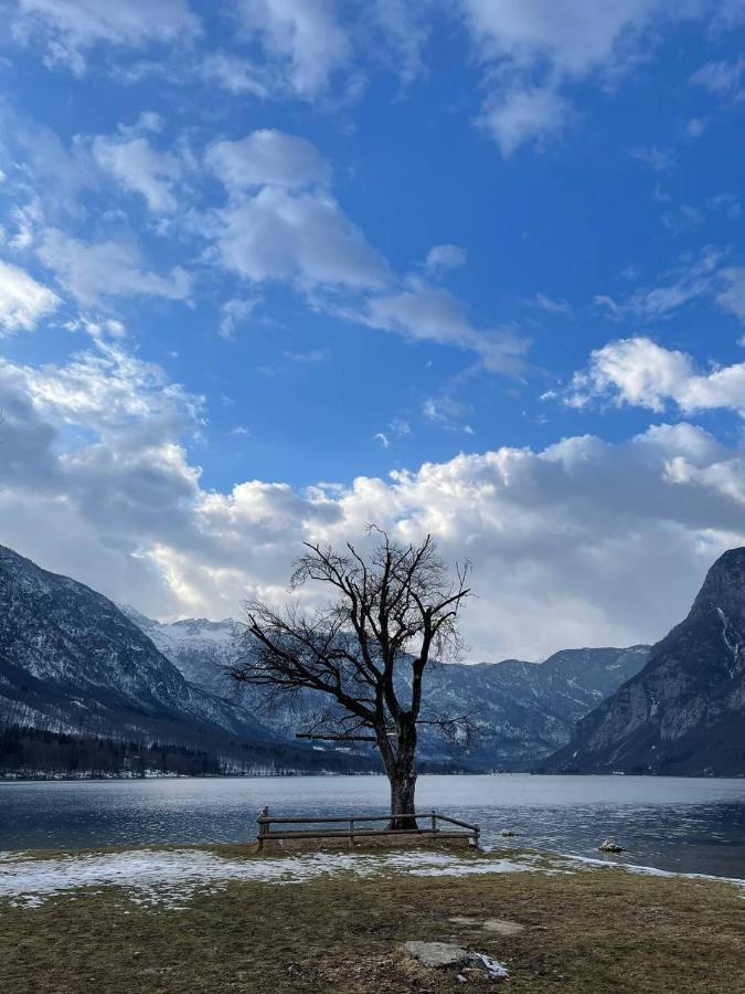 Remarkable Home Bohinj Lake Экстерьер фото